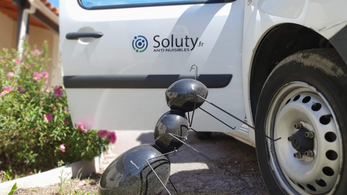 SOLUTY - Dératisation Désinsectisation Désinfection Cannes Grasse