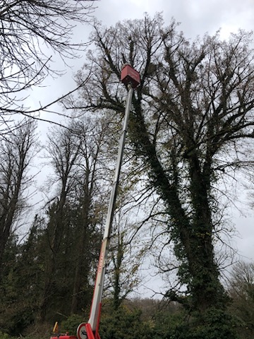 Eco Nuisibles Chaumont