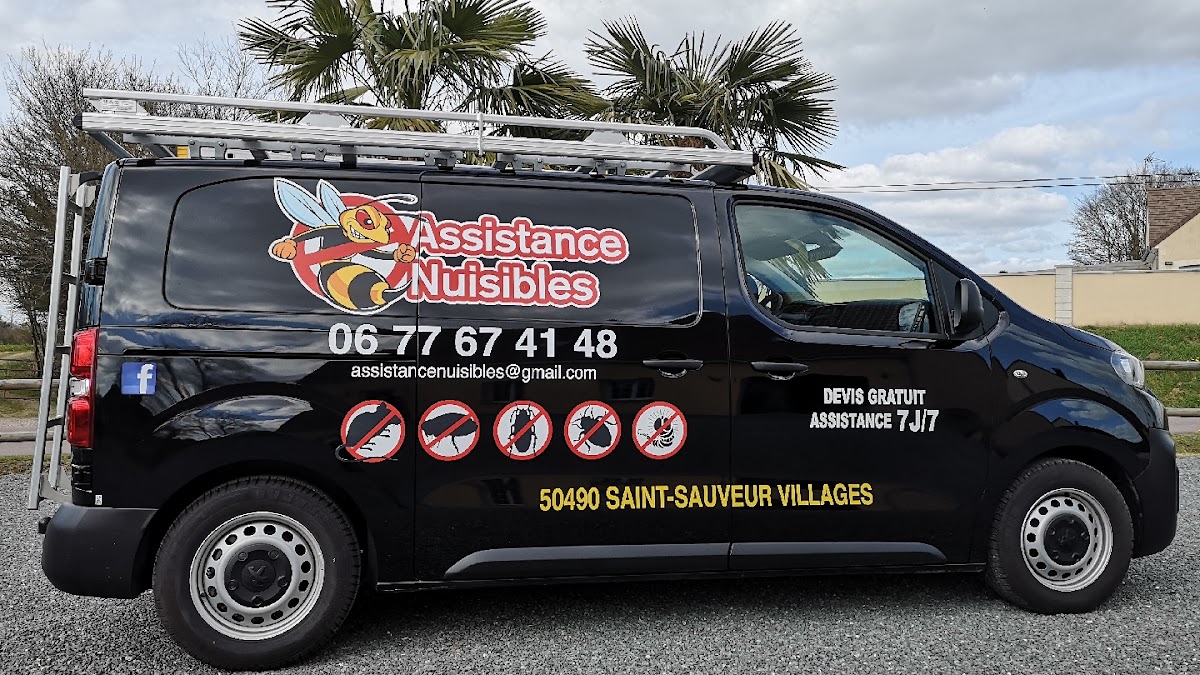 Assistance Nuisibles (dératisation et destruction des nids de guêpes, frelons dans la Manche)