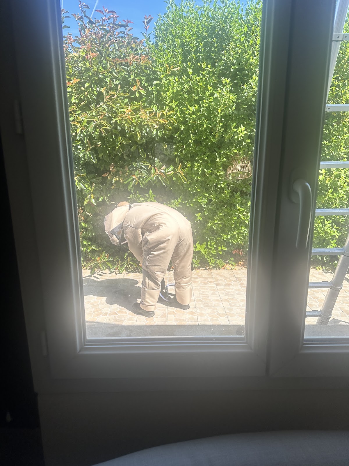 Alerte Tony Nuisibles