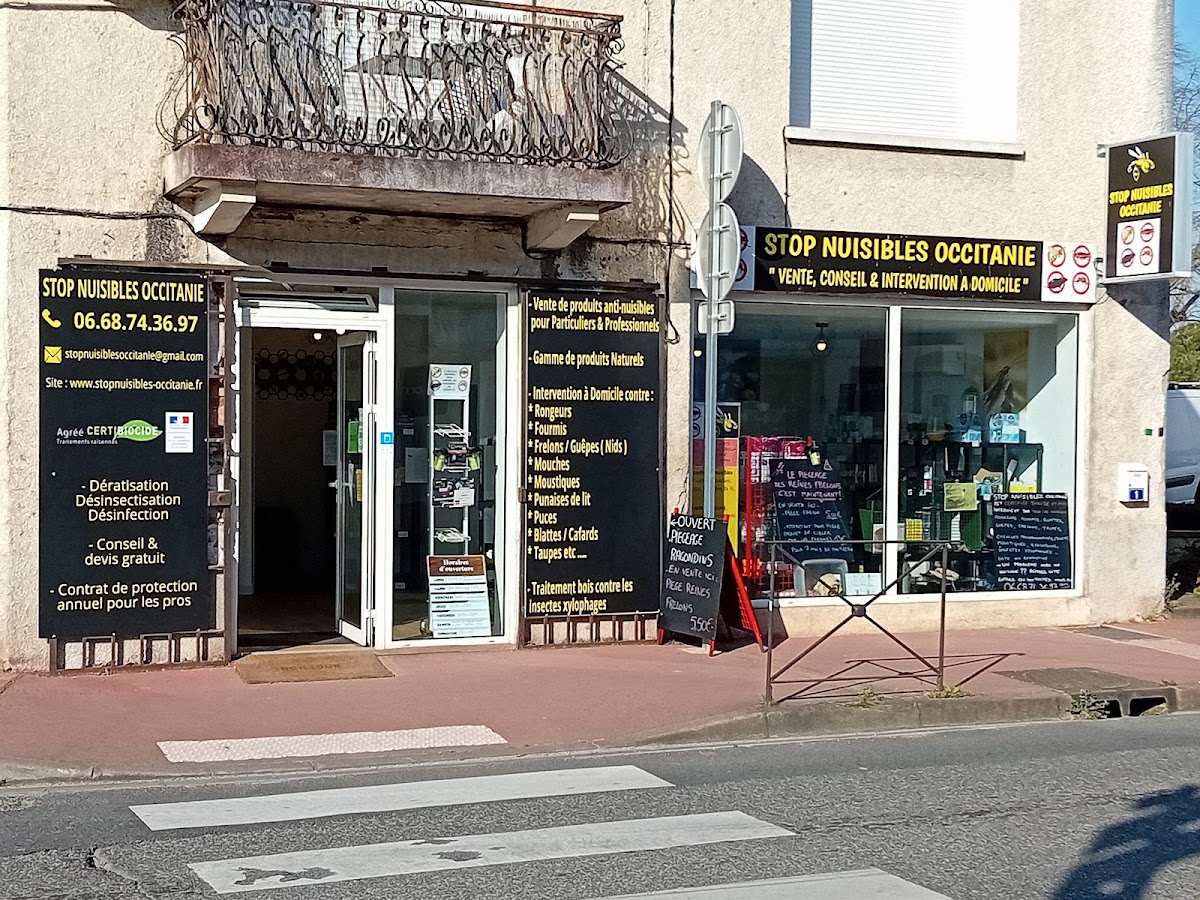 Stop Nuisibles Occitanie Termites Humidité