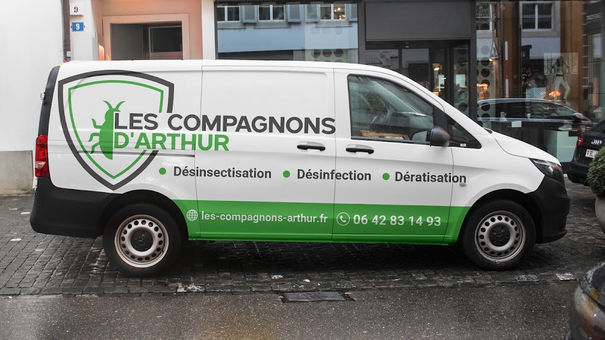 Les Compagnons d'Arthur