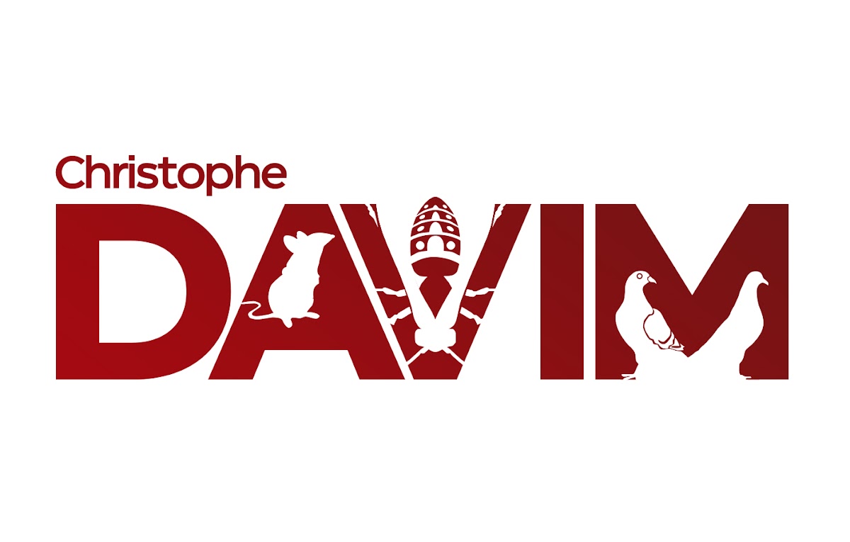 Sarl DAVIM Christophe