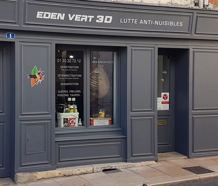 Eden Vert 3D Pontoise Val d’Oise 95 - Guêpes Frelons - Entreprise de dératisation désinsectisation désinfection