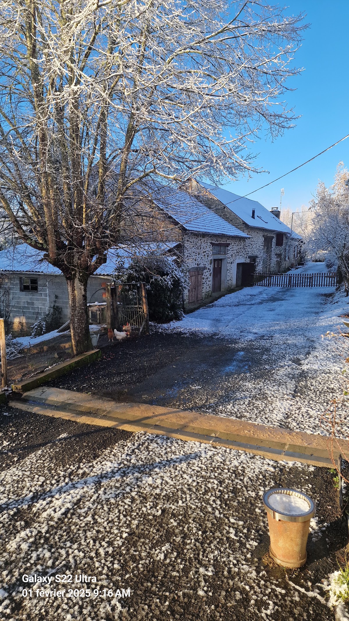 Corrèze Nuisibles - Dératisation - Guêpes et Frelons