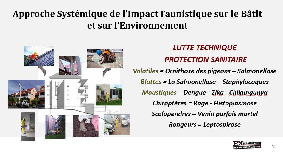 Exterminateur