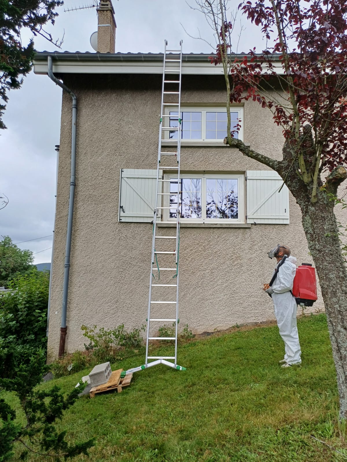Eden Vert 3D Savigneux Entreprise Dératisation Désinsectisation Désinfection