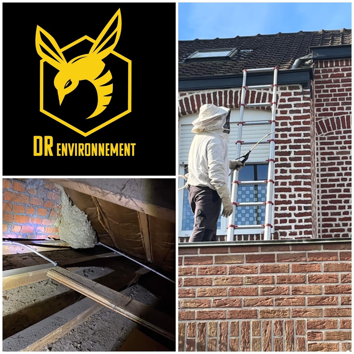 DR Environnement