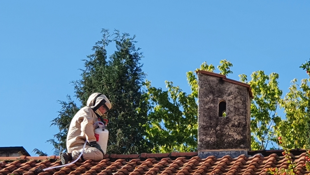 Halte Nuisibles 05