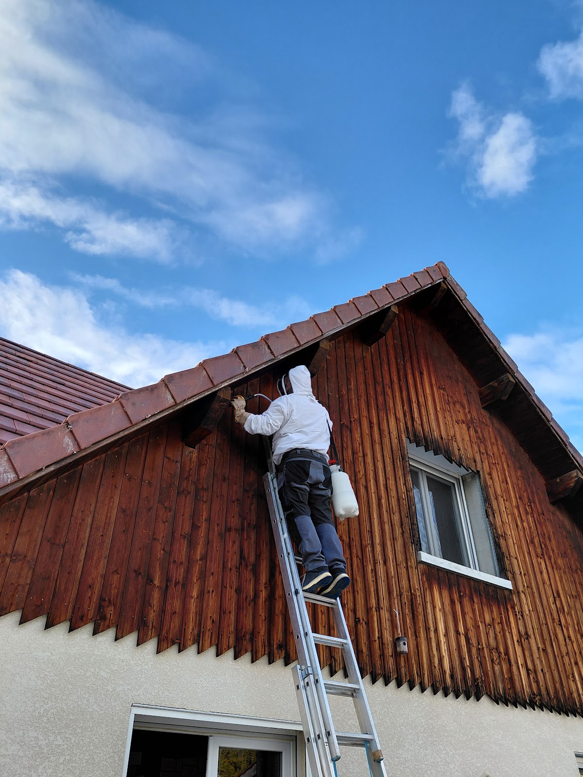 EcoStop Nuisibles 25