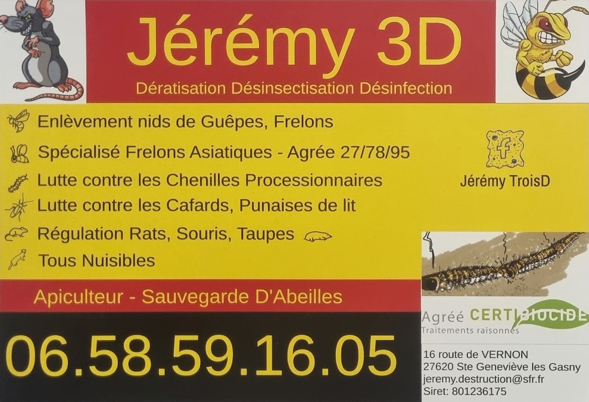 Jeremy 3D