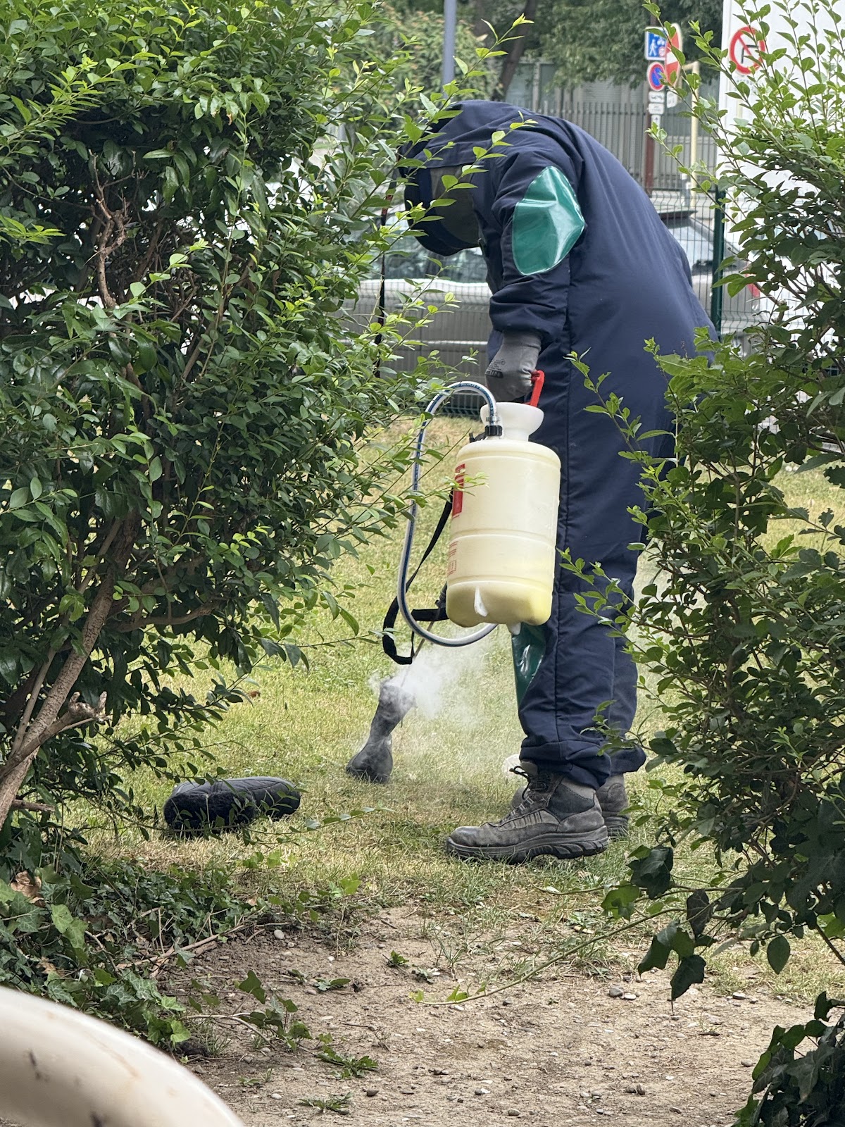 4D EST — désinsectisation et dératisation à Mulhouse