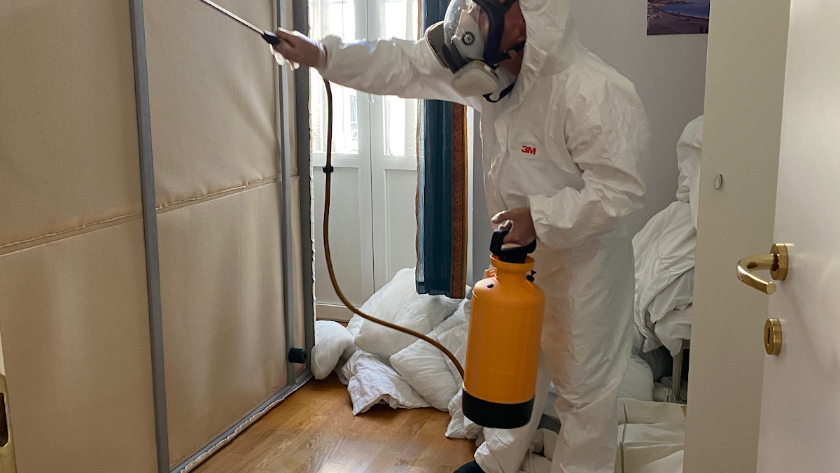 Expert Nice Désinsectisation Dératisation