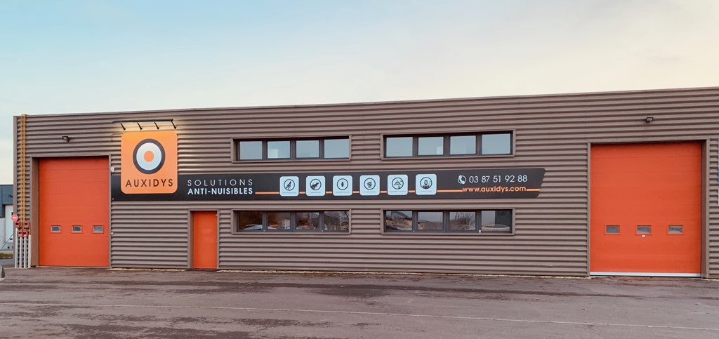 Auxidys : Désinsectisation, Dératisation et Désinfection