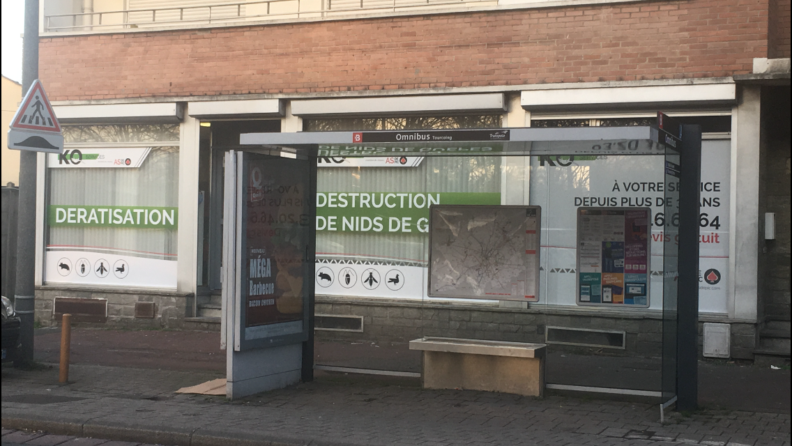 KO SERVICES AS DE PIC NORD — dépigeonnage à Lille