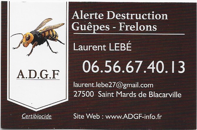 Alerte Destruction Guêpes Frelons