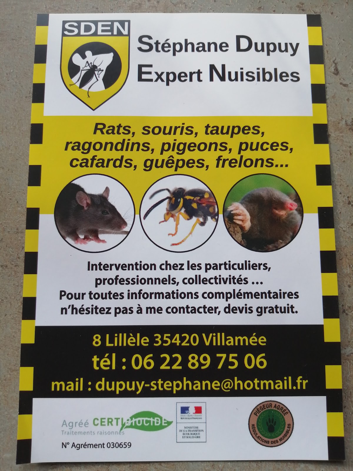 SDEN Stéphane Dupuy Expert Nuisibles