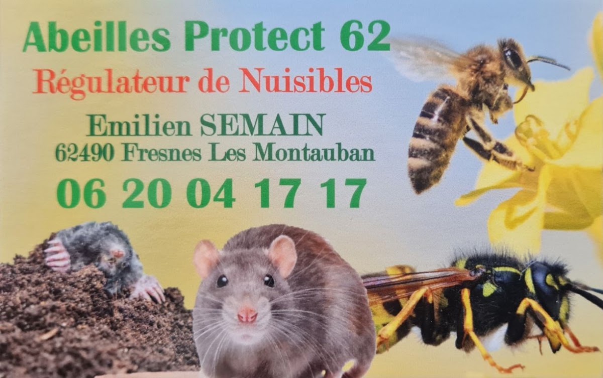 Abeilles Protect 62