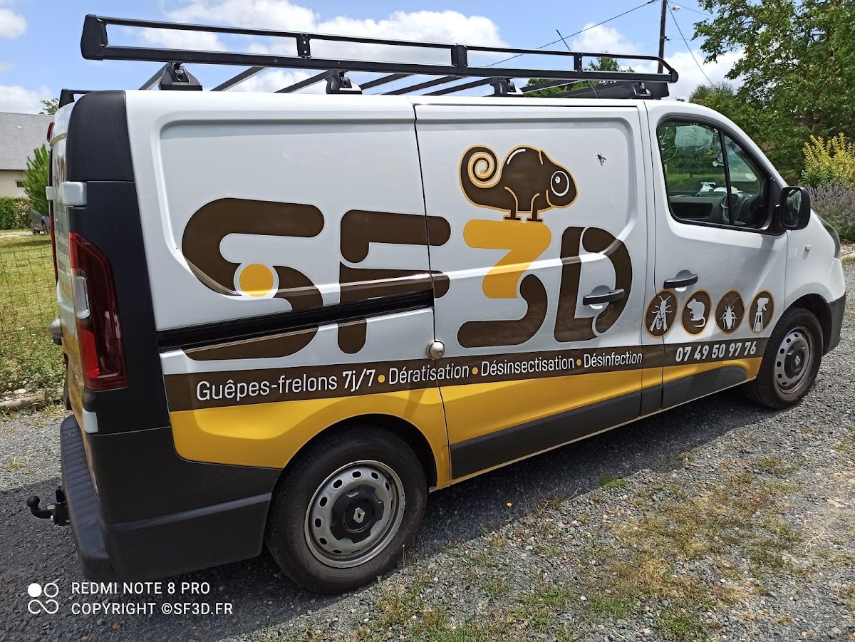 SF3D