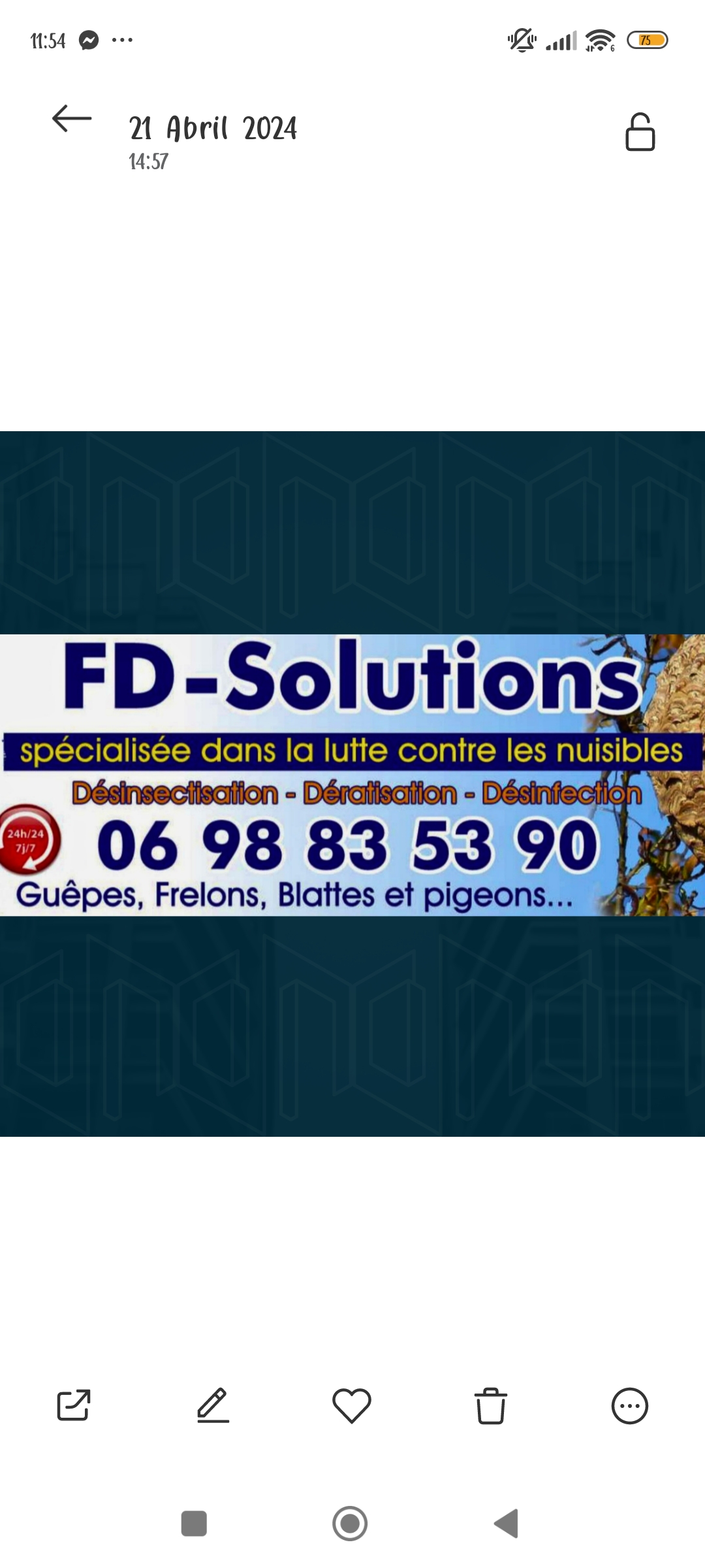 FD-Solutions