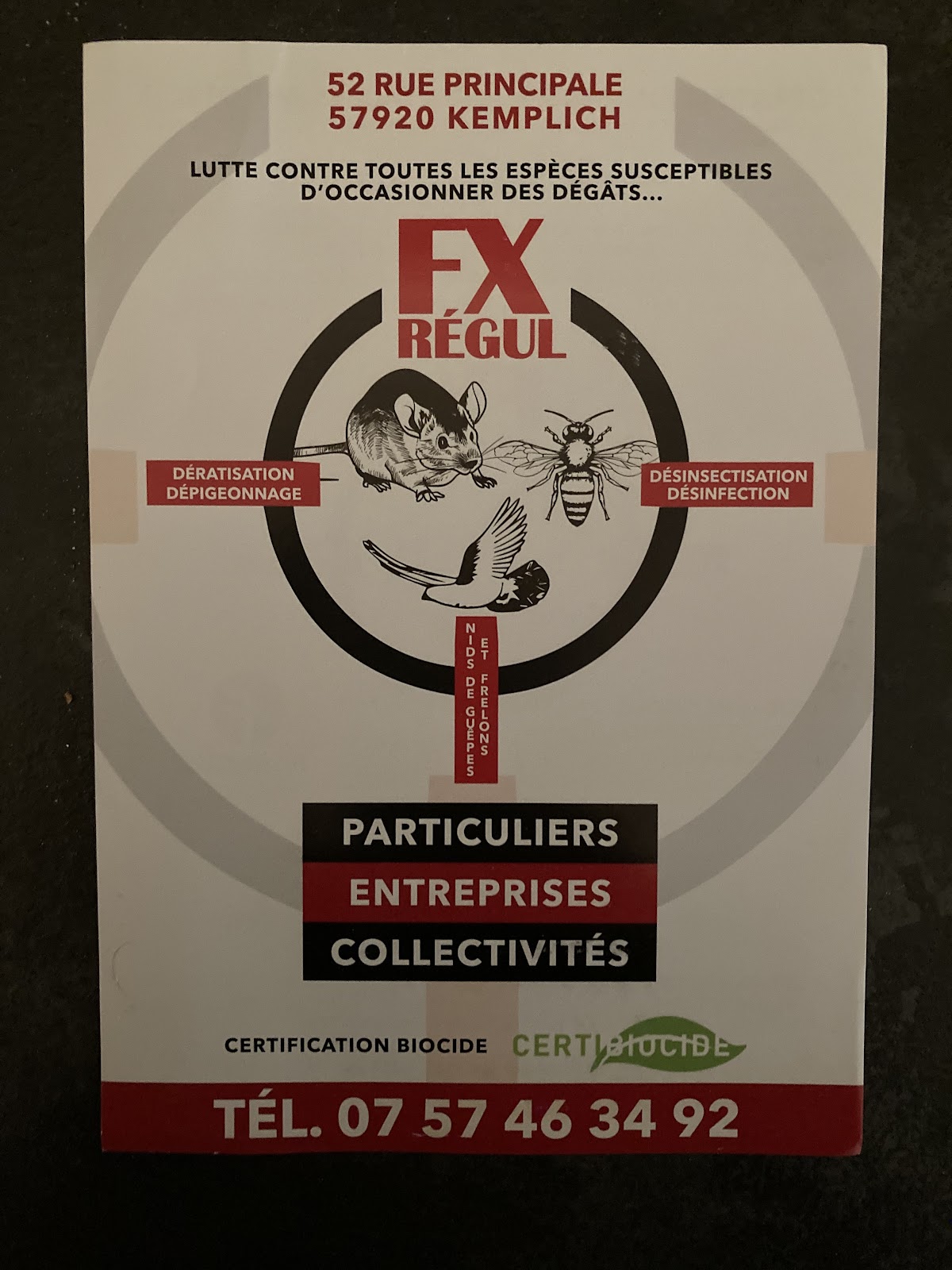 FX REGUL