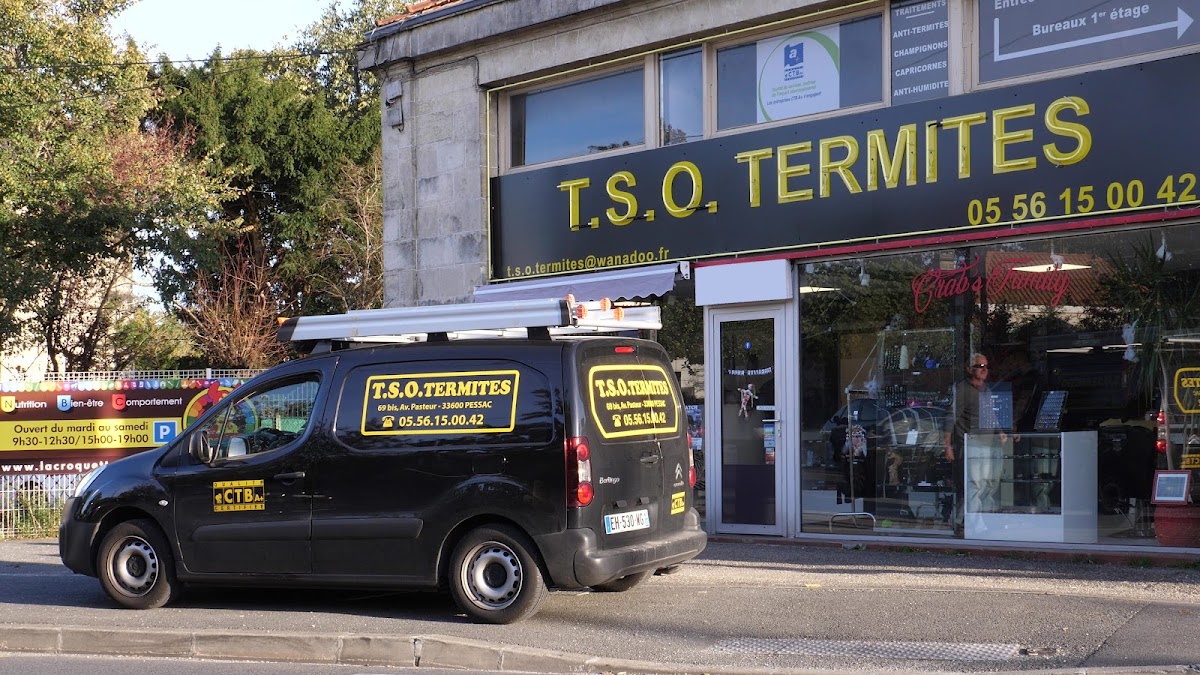TSO Termites