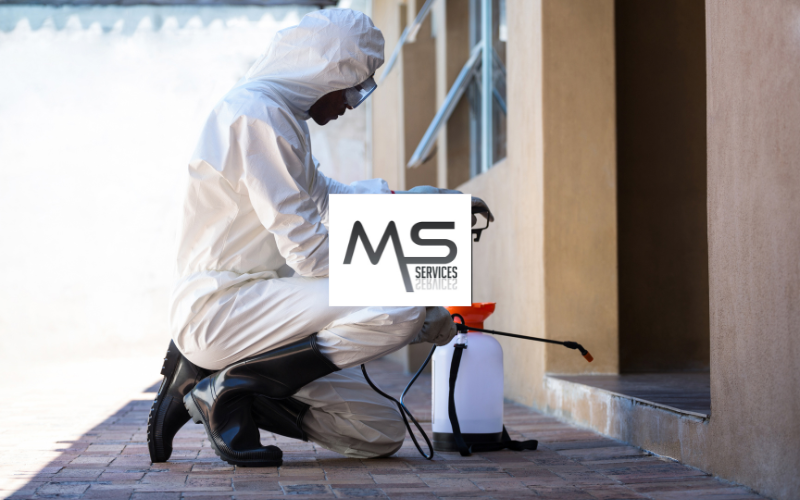 Ms services Nuisibles