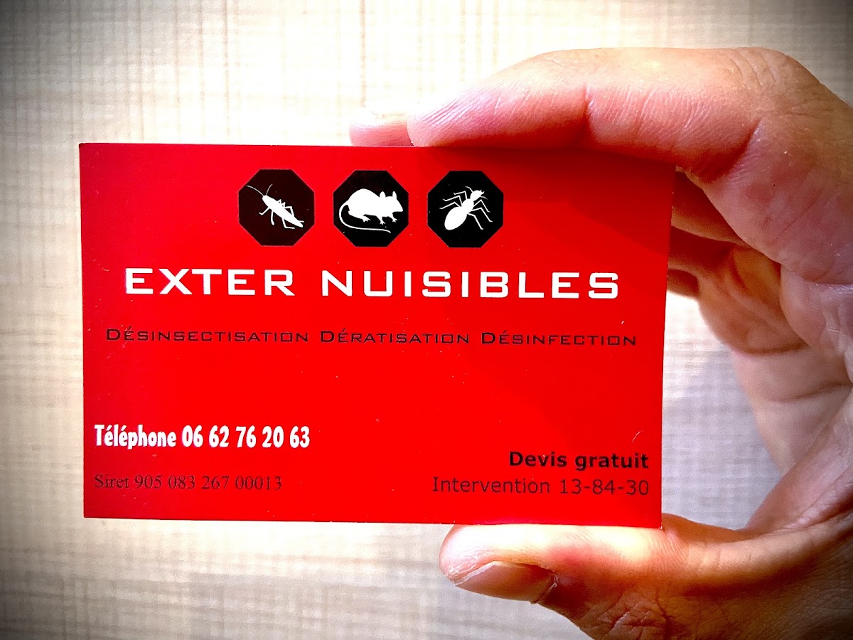 EXTER NUISIBLE - DERATISATION - DESINSECTISATION (FRELONS-PUNAISES DE LIT-CAFARDS)