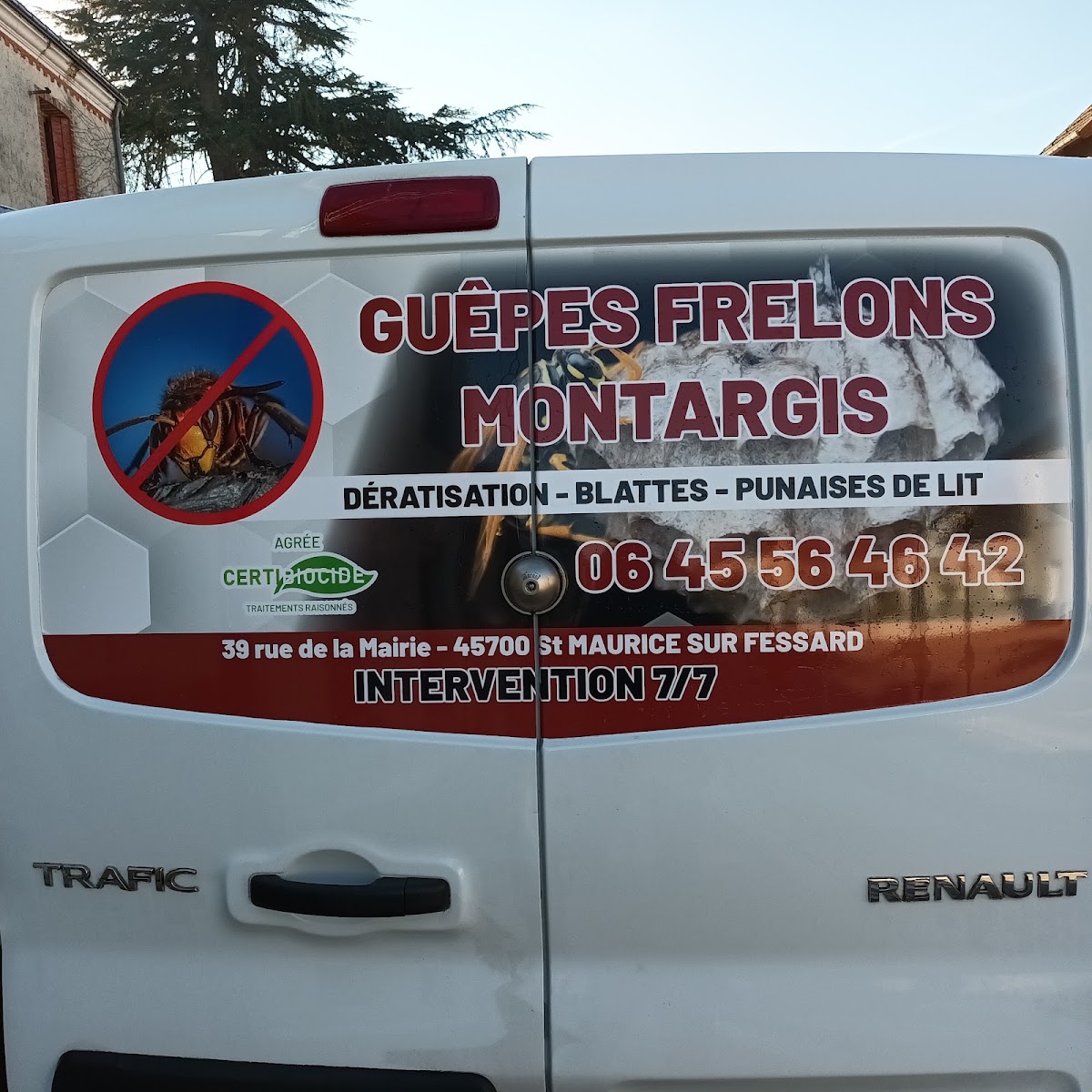 Guêpes Frelons Dératisation Montargis
