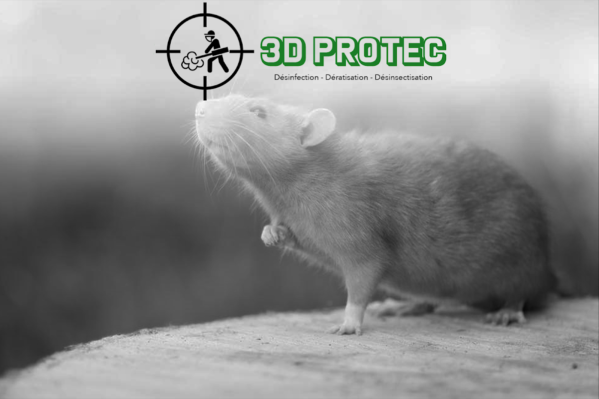 3D PROTEC : Désinfection, dératisation et désinsectisation -