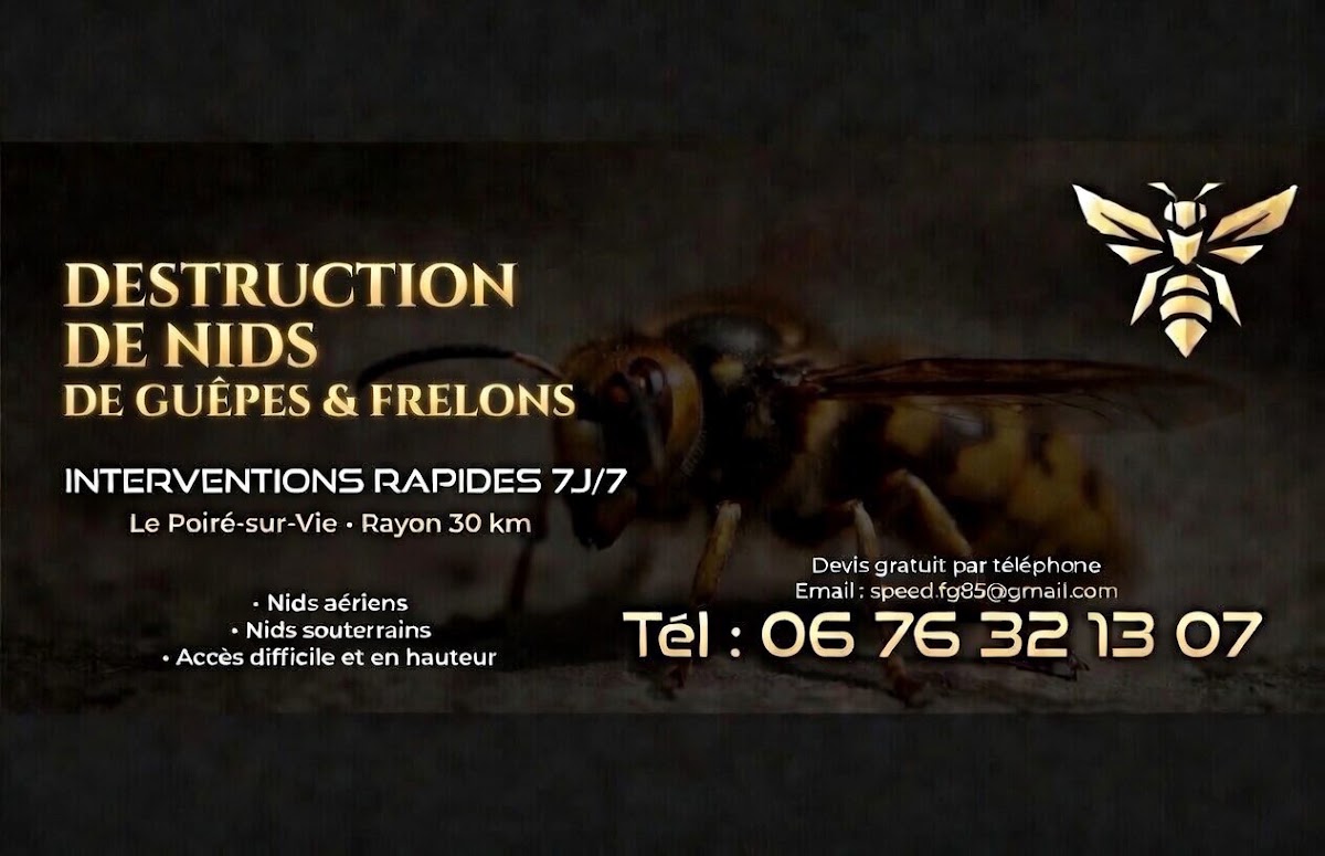 Speed frelons guêpes 85