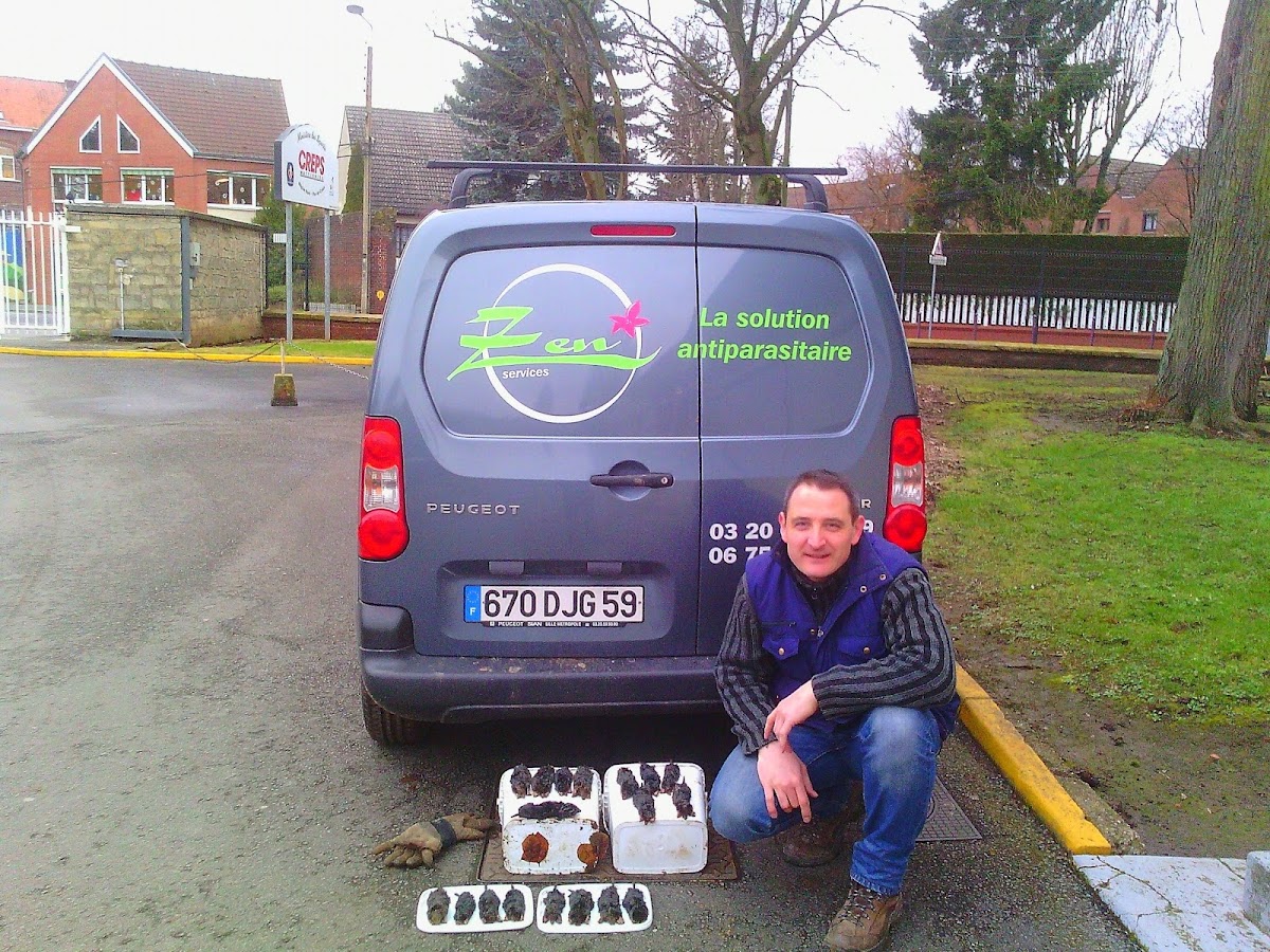 Zen Services Taupier