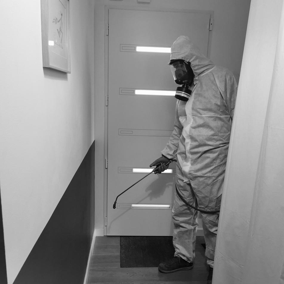 M2B Biosolution - Dératisation Rennes