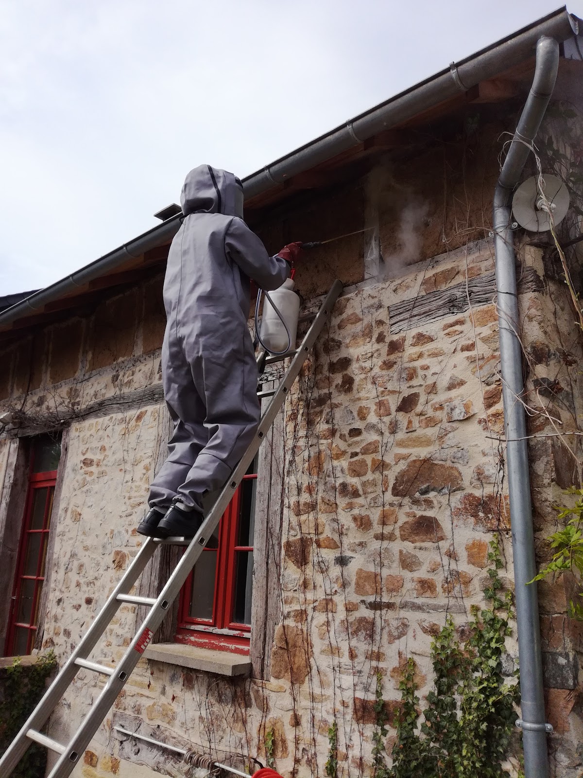 CT PROPRETE DÉRATISATION DESINSECTISATION A TULLE EN CORREZE