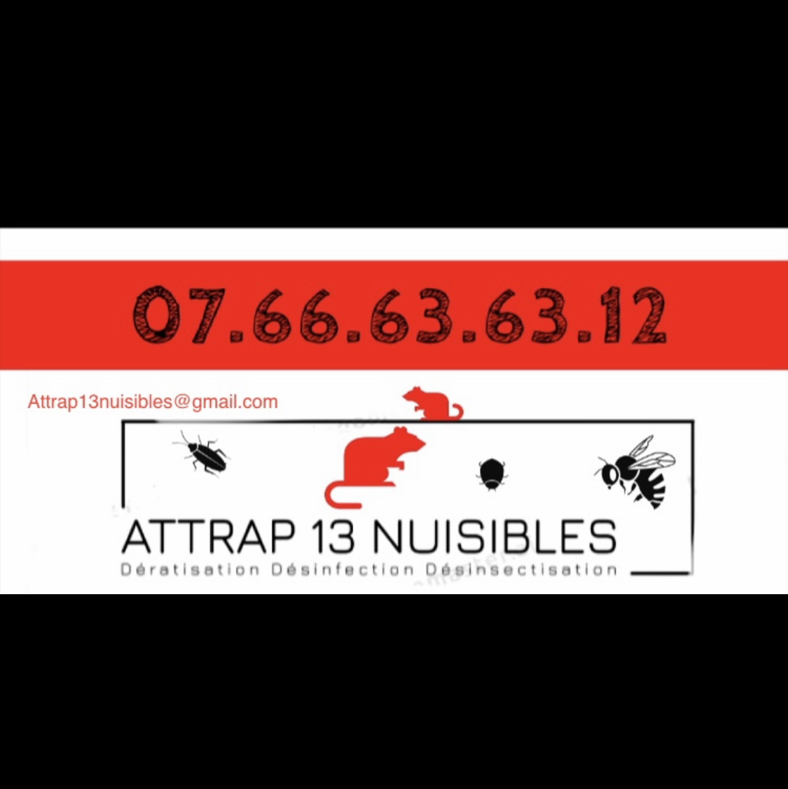 ATTRAP 13 NUISIBLES