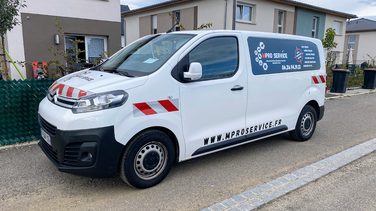 M Pro Service : Dératisation, désinsectisation, dépigeonnage et désinfection, Guêpe & Frelon
