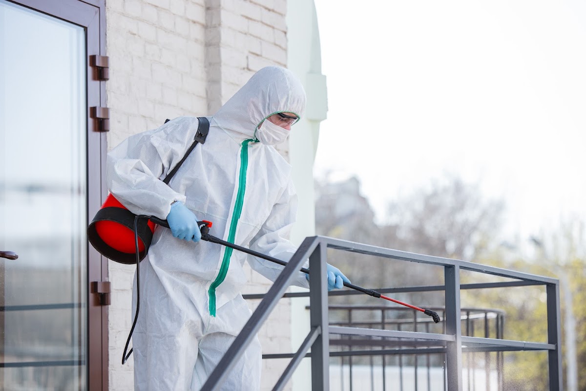 Service Anti Nuisibles N.A : Dératisation Désinsectisation