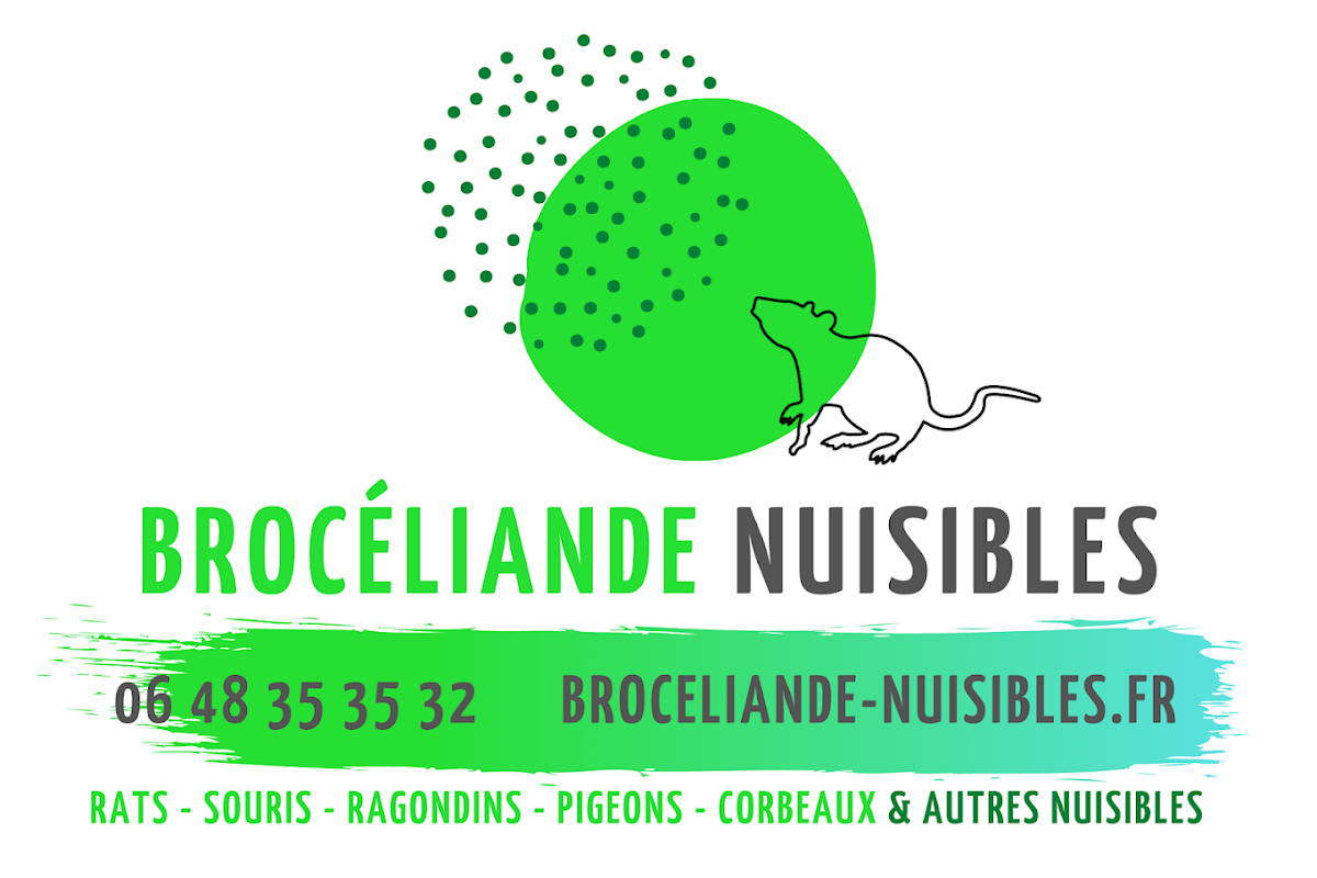 Brocéliande Nuisibles - Dératisations - Destruction de nids de frelons/guêpes