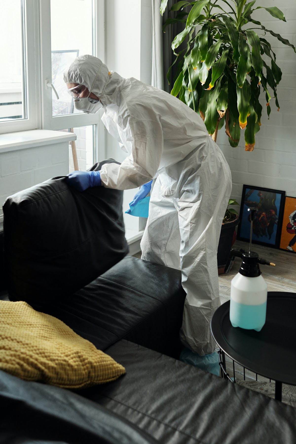 L&M ANTINUISIBLES: Interventions et vente de produits anti-nuisibles