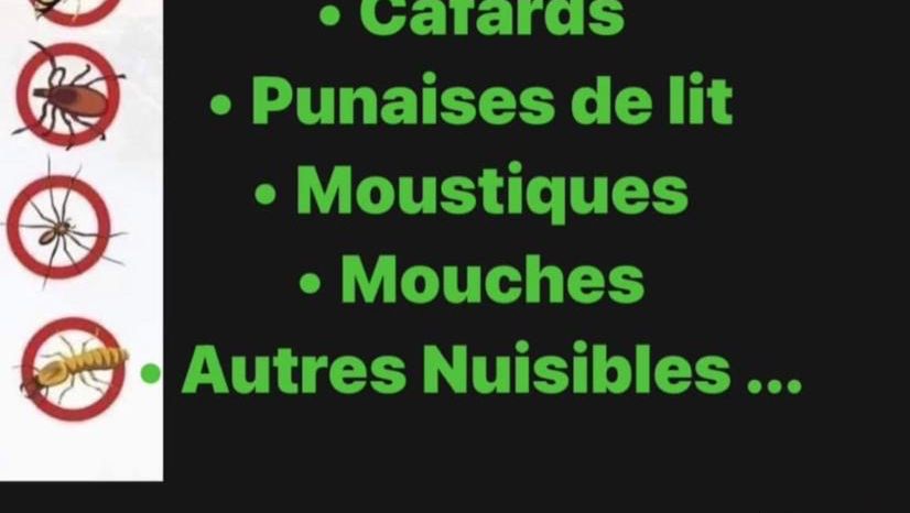 TK NUISIBLES IDF