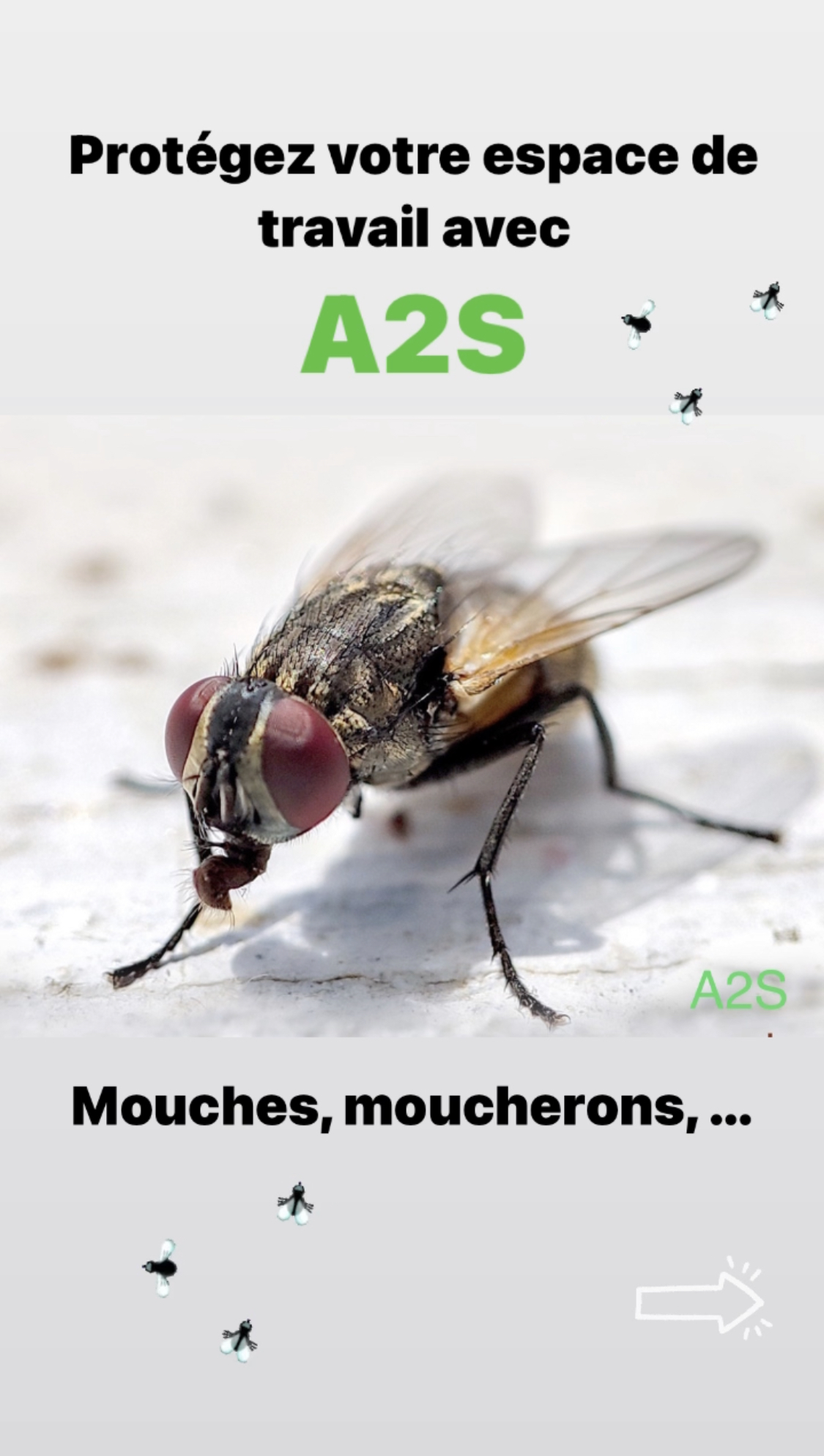 A2S Atlantique Services Sécurité