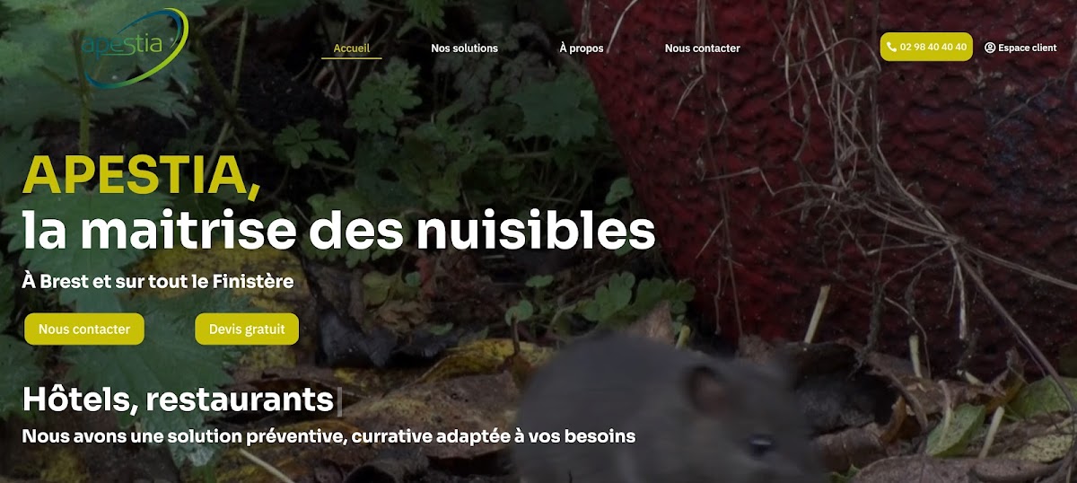 Apestia - Dératisation, Désinsectisation, Guêpes et frelons - A Brest et sur le Finistère