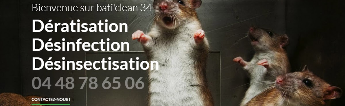 BATI'CLEAN 34