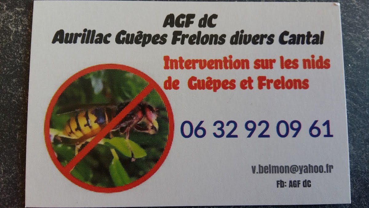 Aurillac Guêpes Frelons divers Cantal - AGFdC