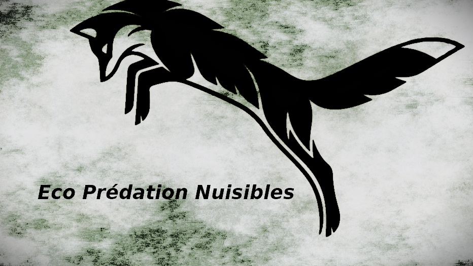 Eco prédation nuisibles