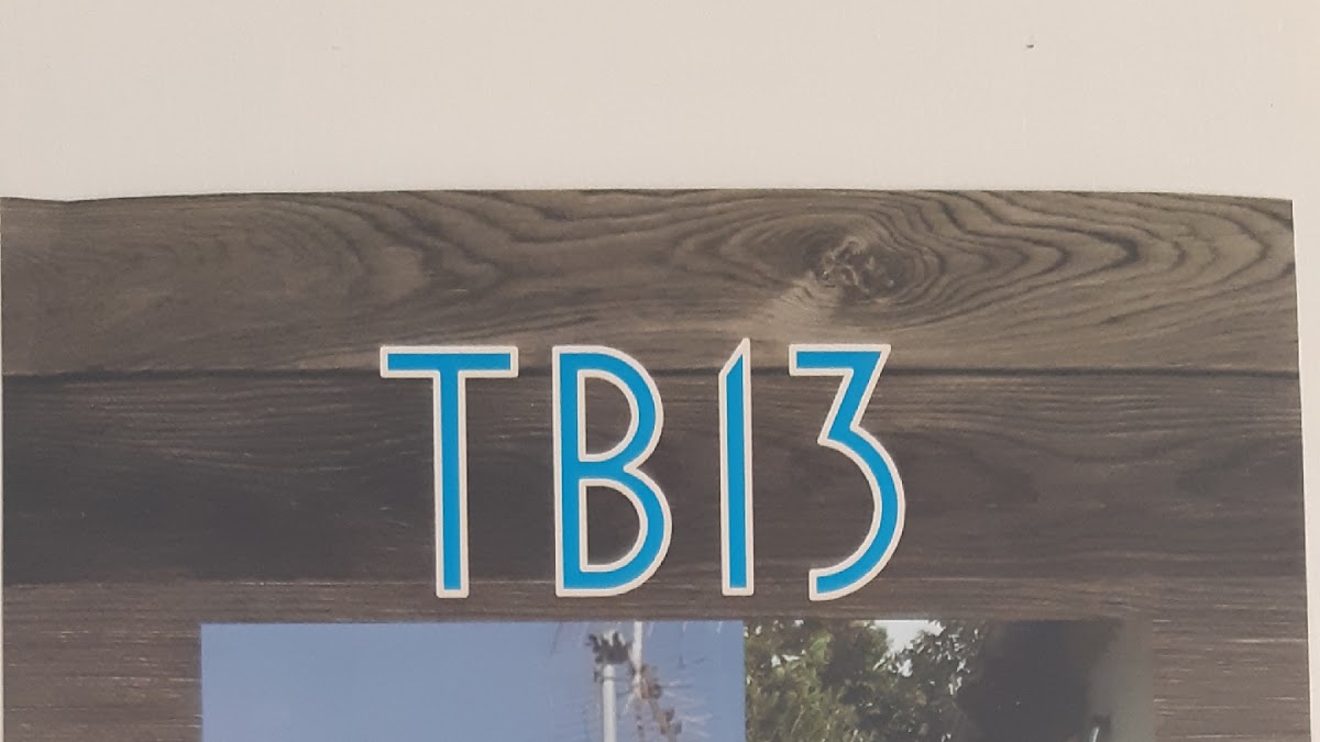 tb13 - Destruction Nid de Guêpes & Frelons