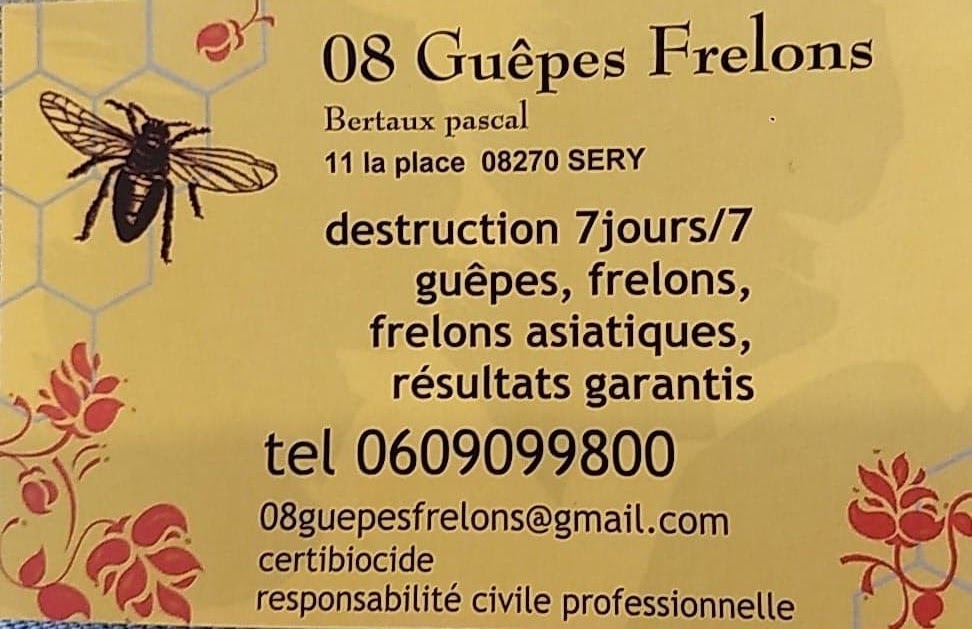 08 Guêpes Frelons