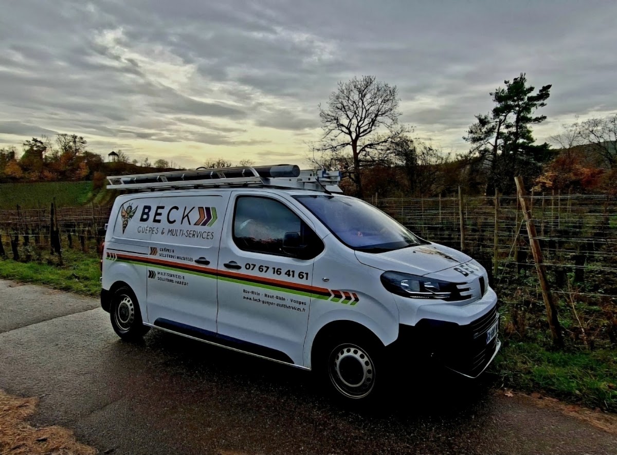 BECK Guêpes & Solutions Nuisibles & Multi-Services