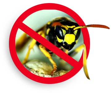 G.D.I Gallot Destruction d'Insectes