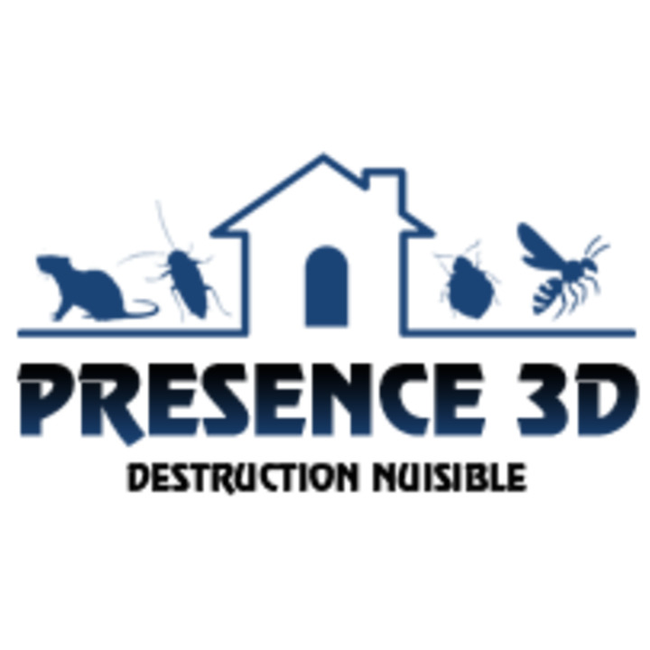Présence 3D